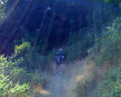 Nick and Amanda in Muir Woods